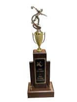 pictureofkrcfvcbowltrophy-removebg-preview